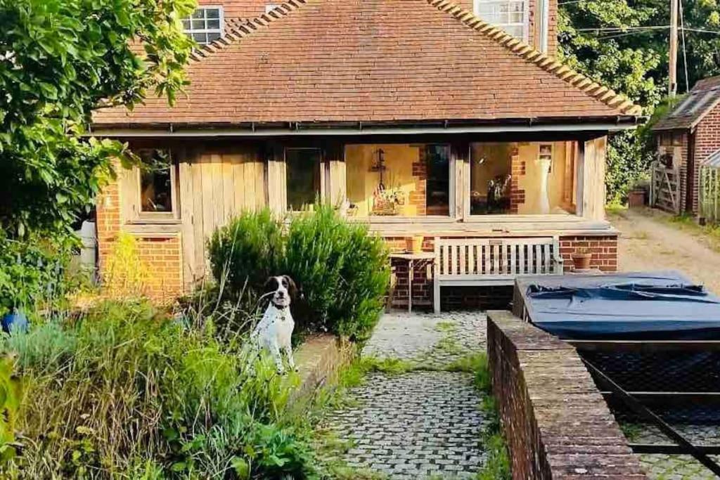 Nature Charm & Fruit Delights, Multi-Generation Celebratory Home -Try, Relax, Repeat - Sellindge Ashford  Esterno foto