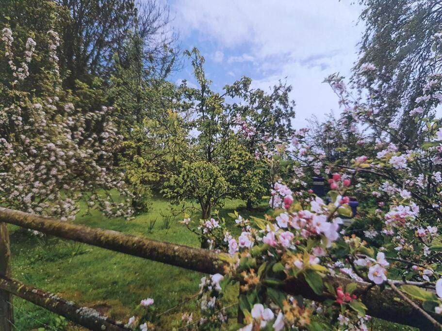 Nature Charm & Fruit Delights, Multi-Generation Celebratory Home -Try, Relax, Repeat - Sellindge Ashford  Esterno foto