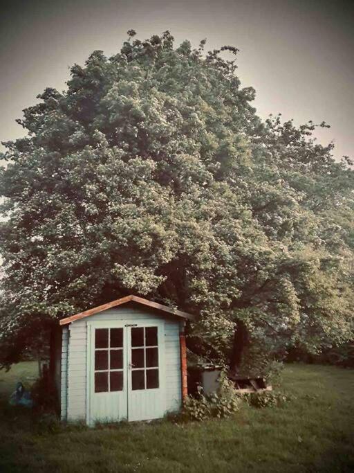 Nature Charm & Fruit Delights, Multi-Generation Celebratory Home -Try, Relax, Repeat - Sellindge Ashford  Esterno foto