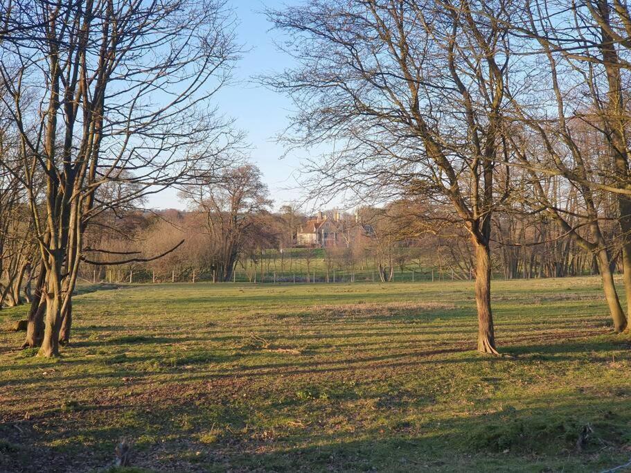 Nature Charm & Fruit Delights, Multi-Generation Celebratory Home -Try, Relax, Repeat - Sellindge Ashford  Esterno foto