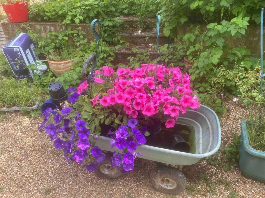 Nature Charm & Fruit Delights, Multi-Generation Celebratory Home -Try, Relax, Repeat - Sellindge Ashford  Esterno foto