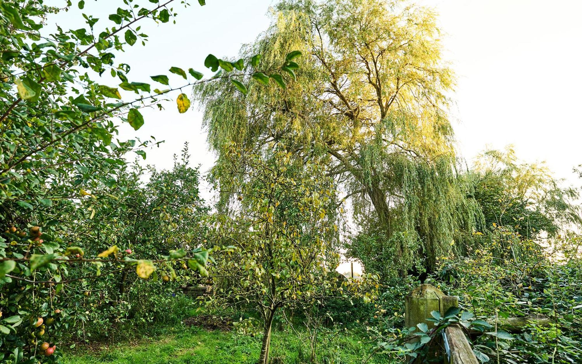 Nature Charm & Fruit Delights, Multi-Generation Celebratory Home -Try, Relax, Repeat - Sellindge Ashford  Esterno foto